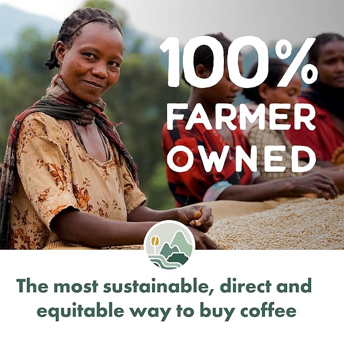 Pachamama Organic Coffee - Medium Roast Whole Bean Coffee Bundle - 2x10 oz bags - Peru + Guatemala - Farmer Owned &amp Regenerative