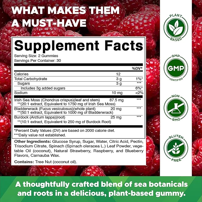 Vitamatic 3 Pack Irish Sea Moss Gummies- 3000mg Equivalent Per Serving - 60 Ct - Made with Bladderwrack &amp Burdock Root - Seamoss Supplement for Thyroid Energy Immune Support