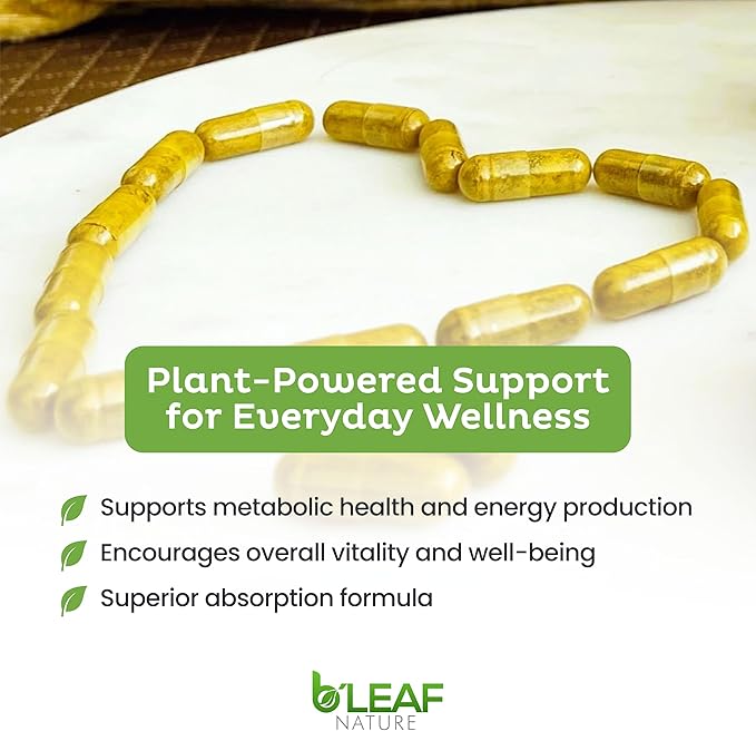 B’Leaf Nature Berberine Phytosome 120 Capsules – 1100mg Berberine Supplement for Metabolic and Cardiovascular Support – Vegan Gluten-Free Non-GMO Berberine Phytosome Capsules for Immune Wellness
