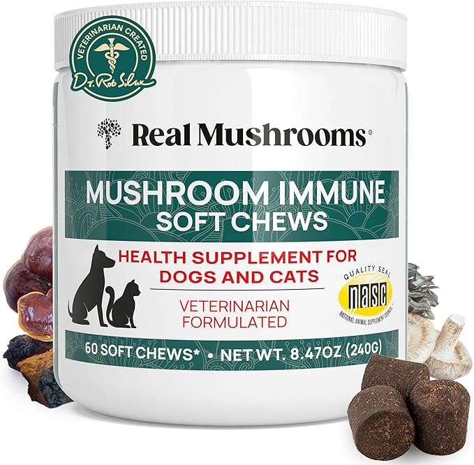 Real Mushroom Immune Pet Chews – For Daily Digestive &amp Immune Health – Mushrooms for Dogs &amp Cats Functional Treat – Mushroom Supplement for Dogs &amp Cats – 1 to 4 Chews For All Breeds &amp