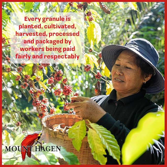 Mount Hagen Instant Espresso Coffee 6 Pack Eco-friendly Organic Espresso Coffee Made From Medium Roast Arabica Beans Freeze Dried Instant Coffee Fair-Trade Kosher [6x1.76oz/50g Jar]
