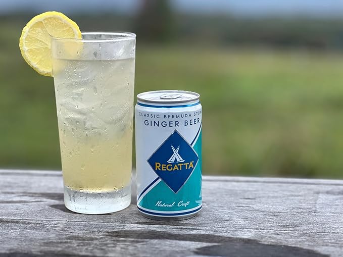 Award-Winning Soda Bundle Party Pack of 4 24 Can Cases By Regatta Craft Mixers