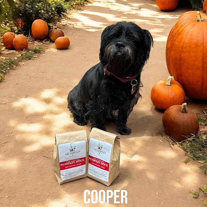 Dog Lover’s Coffee – Pumpkin Spice by The Pawfect Brew | Medium Roast Whole Bean 2lb Bag | Warm &amp Spiced Seasonal Flavor | 25% Profits Donated to Animal Rescue