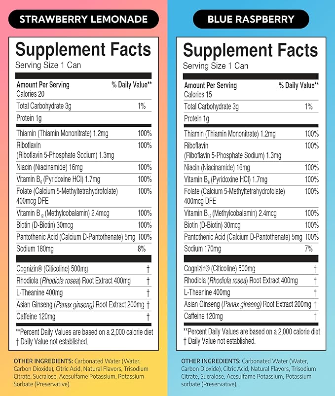 Neutonic Nootropic Productivity Energy Drink | Variety Pack 12 Cans | 120mg Natural Caffeine Zero Sugar | Support Memory Mental Clarity Cognitive Function | Boost Focus Energy Brain Health