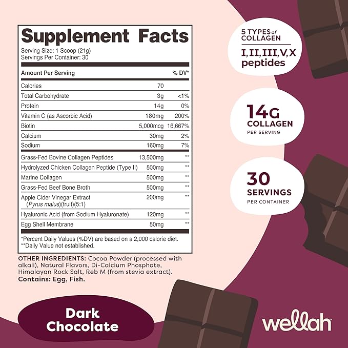 Wellah The Afterglow Multi Collagen Protein + Beauty (Dark Chocolate Flavored) 30 Servings