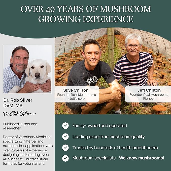 Real Mushroom Immune Pet Chews – For Daily Digestive &amp Immune Health – Mushrooms for Dogs &amp Cats Functional Treat – Mushroom Supplement for Dogs &amp Cats – 1 to 4 Chews For All Breeds &amp
