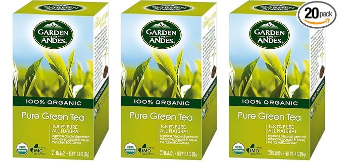 Organic Green Tea 20 Bags 3 Per Case