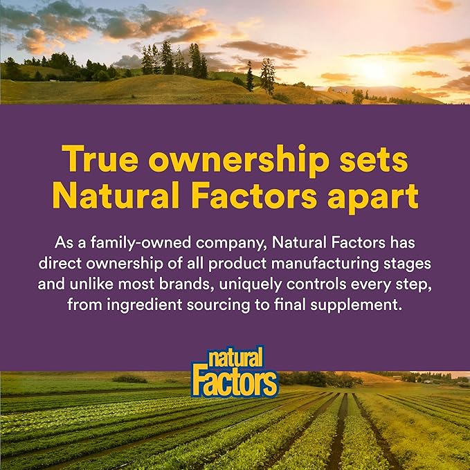 Natural Factors - Nattokinase 100mg Supports Circulatory Health 60 Vegetarian Capsules