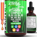 Vitamin B Complex Liquid Drops | Thiamine B1 B6 B2 B3 B4 B5 B7 B9 B12 Niacinamide Paba Choline Inositol Taurine Probiotics Beet Root Spirulina - Plant-B Vitamin Supplements by Clean Nutra