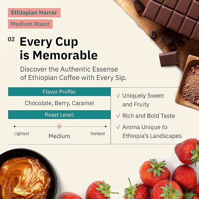 Ethiopian Harrar Coffee French Press Grind Medium Roast 5LB – Single Origin Fair Trade Specialty Beans with Chocolate &amp Fruity Notes Fresh Roasted to Order
