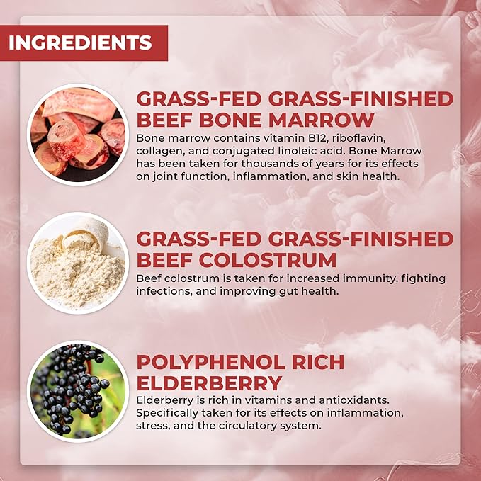 Santa Cruz Paleo Food of The Gods Grass Fed Beef Organ Supplement for Men and Women with Collagen Maca Root Colostrum Bone Broth Iron Vitamin B12 Gluten Free Keto Friendly 30 Servings