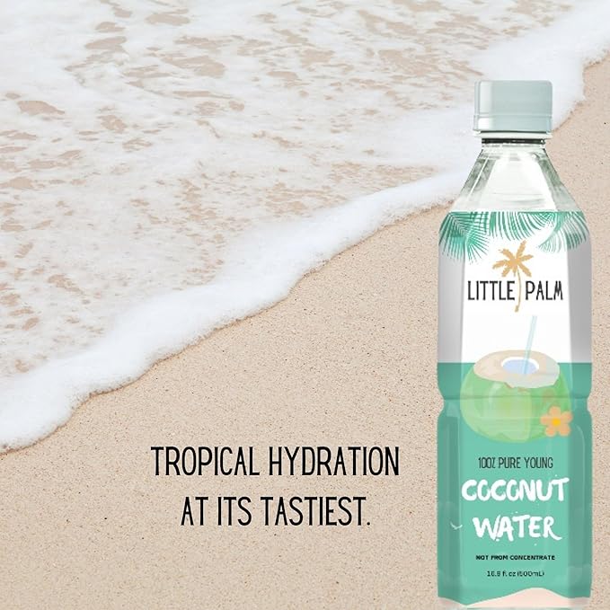 Little Palm - Pure Coconut Water Made from Young Coconuts No Sugar Added Non-GMO Natural Hydration Electrolytes 16.9 fl oz (24-Pack Original)