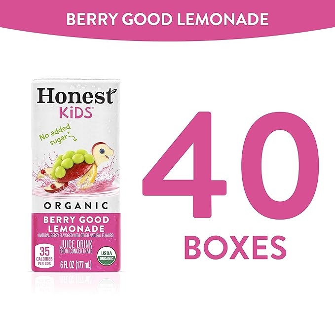 Honest Kids Berry Good Lemonade Organic Juice Drink Berry Lemonade 6 Fl Oz (Pack of 40)