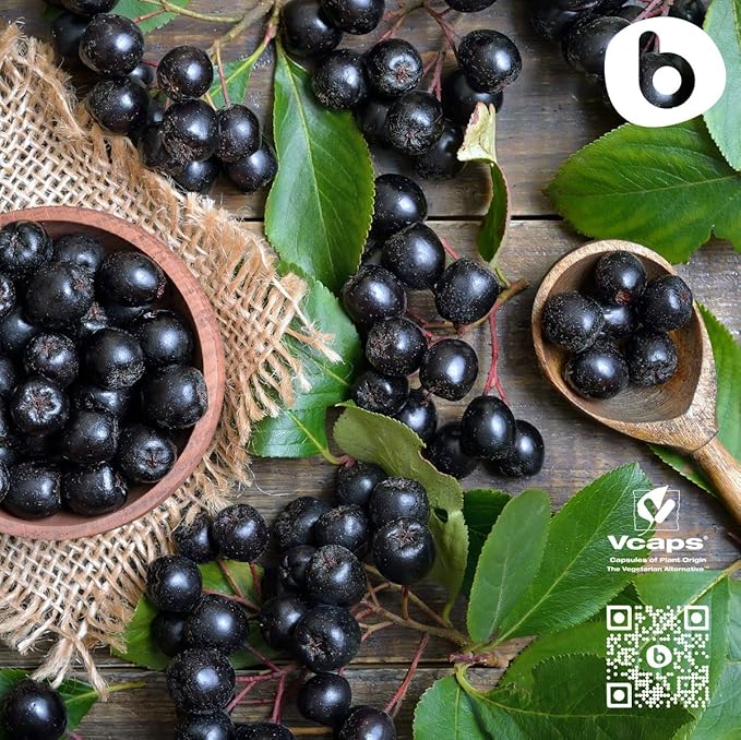Organic Aronia Berry Capsules – Black Chokeberry Supplement with Natural Anthocyanins &amp Polyphenols – Supports Immune System – from Aronia Berries Powder – Non-GMO – 500mg 90 Vegan Capsules