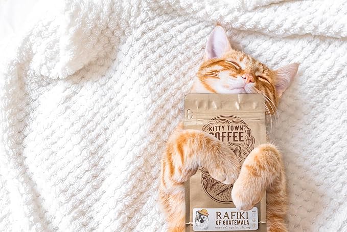 Kitty Town Coffee: Rafiki Medium Roast Coffee From Guatemala 2lb (32oz) Whole Bean