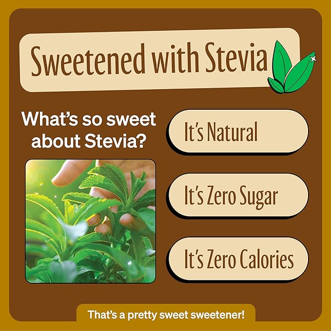 Zevia Zero Calorie Soda Creamy Root Beer 12 Fl Oz (Pack of 20)