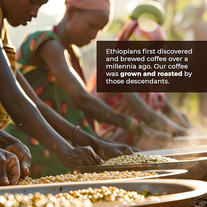 Guzzling Goat Ethiopian Coffee Beans | Premium Medium Roast Coffee Whole Bean | Strong Flavorful Brew | Sourced &amp Roasted in Ethiopia