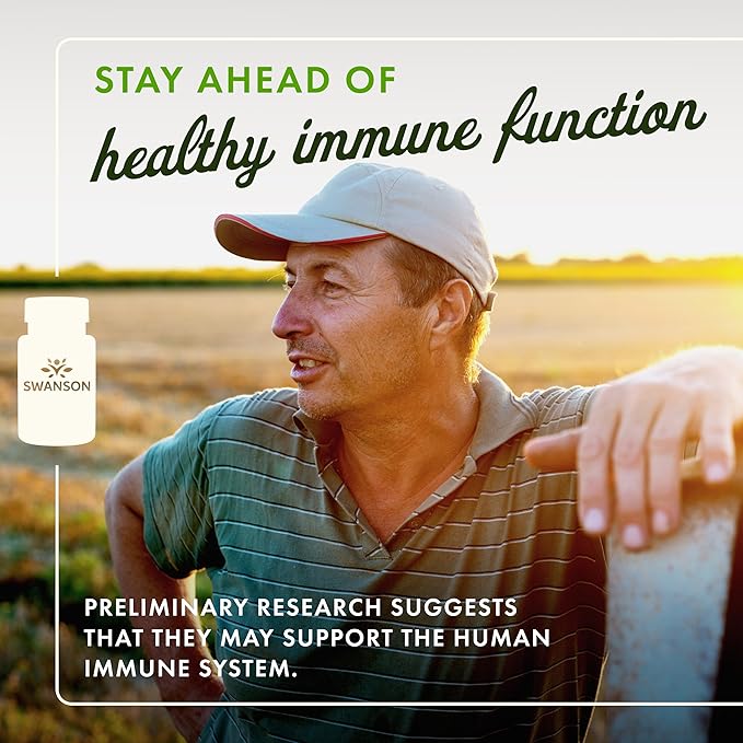 Swanson Maximum Strength Fucoidan Extract Immune Support Supplement for Adults Seeking Natural Immune Defense from Brown Seaweed - 500 mg (60 Vegan Capsules 3 Pack)