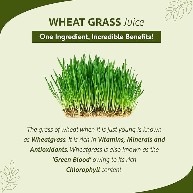 Sri Sri Tattva Wheat Grass Juice - Daily Fitness Essential 1L