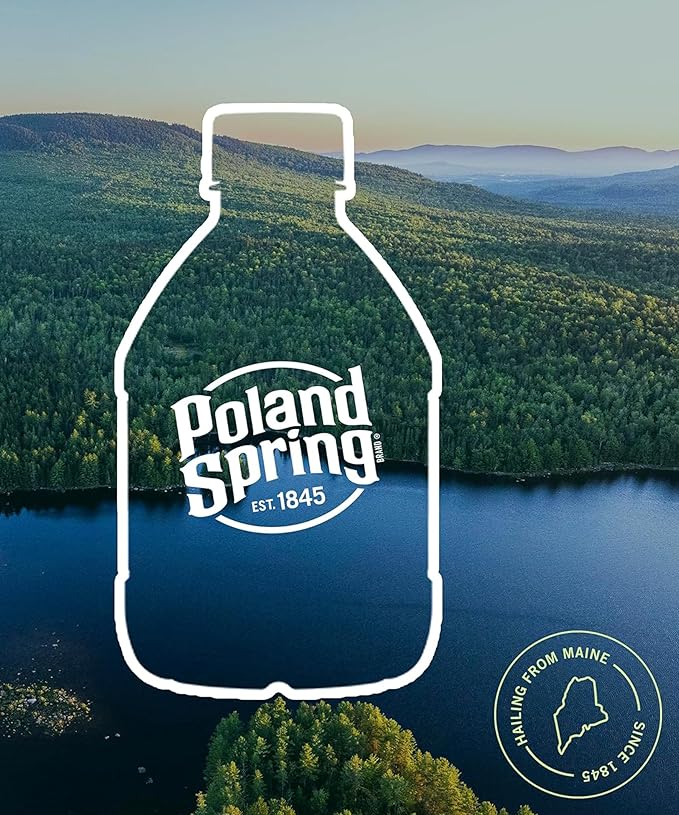 Spring Water 48 Pack - Mini Water Bottles - 8 Fl Oz.