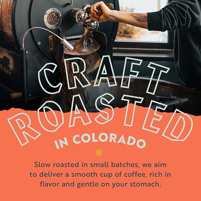 Clean Coffee Co. - Low Acid Medium-Dark Roast Tested for Molds and Toxins Papua New Guinea Blend Notes of Milk Chocolate and Roasted Almonds (Ground 12 oz Bag) (Pack of 2)