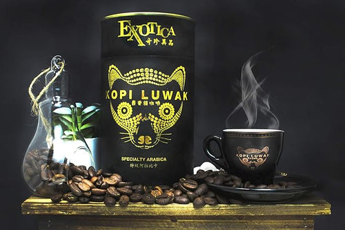100% Wild Genuine Kopi Luwak Specialty Arabica Ground Gourmet Civet Coffee (100g)-Cruelty-free