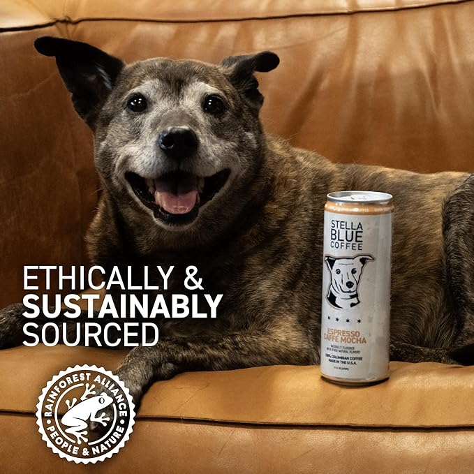Stella Blue Espresso Caffe Mocha Cans Ready-to-Drink Coffee Energy Beverage 100% Colombian Coffee 190mg Natural Caffeine Gluten Free &amp Good Source of Protein 11oz Can 12 Pack