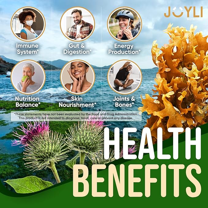 Sea Moss Gummies - Irish Seamoss Gummies for Adults &amp Kids - Advanced Superfood Supplement with Natural Sea Moss Gel Bladderwrack &amp Burdock Root Extract - 60 Vegan Irish Moss Gummy Bears