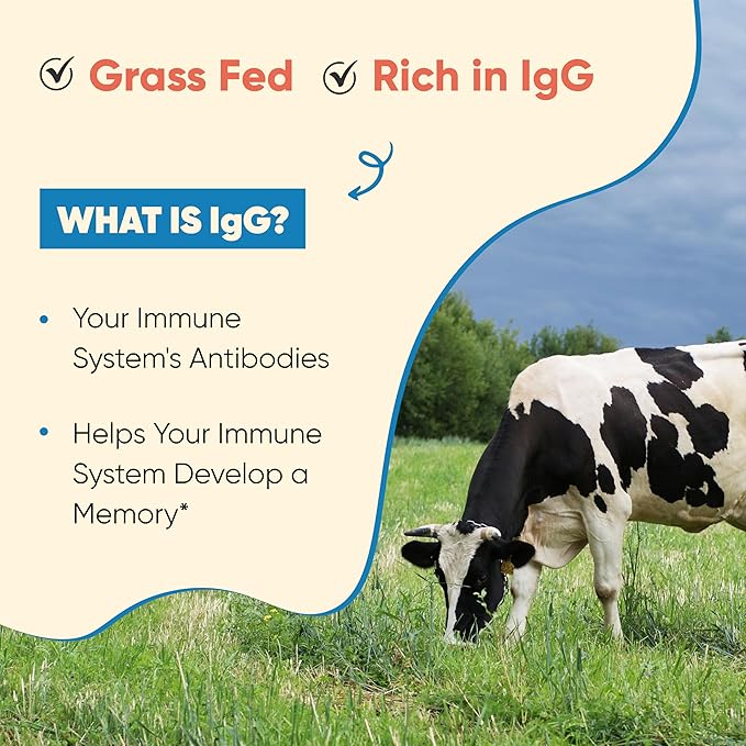Sandhu's Grass Fed Bovine Colostrum Powder for Humans Adults | 65 Servings (Pack of 2) Cows Supplement | High IgG for Gut Health | Immunity &amp Muscle Recovery Support | Unflavored | for Men &amp