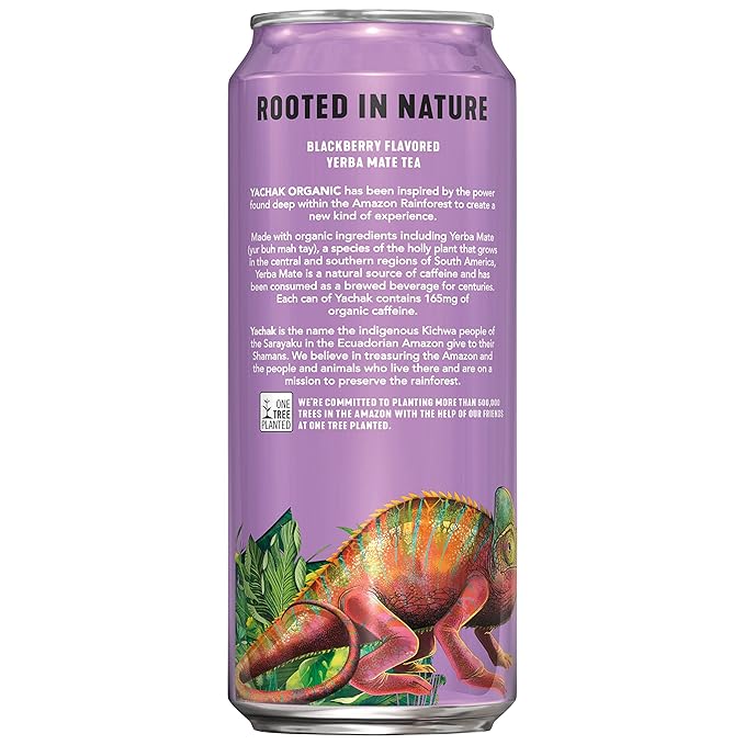 Yachak Yerba Mate Drink Blackberry 16 Fl Oz Cans Pack of 12