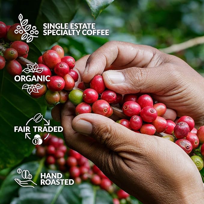 Father's Day Gift Box for Coffee Lovers - 10 of The World's Finest Single Estate Specialty &amp Organic Coffees | Brew &amp Enjoy Anytime Anywhere | Hamper Style Letterbox Gift Idea for Dad &amp H