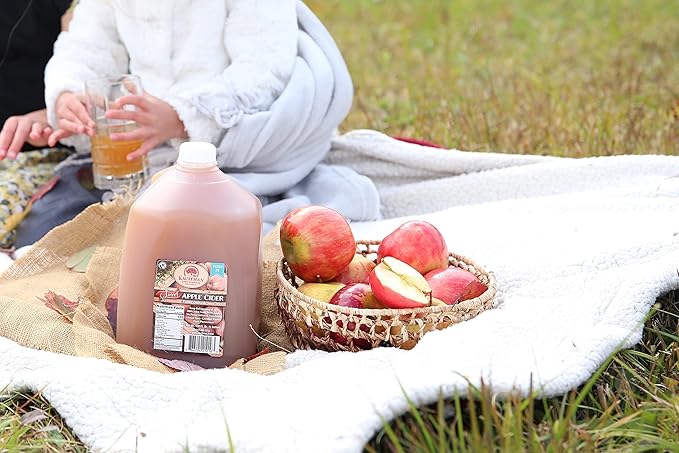 Kauffman's Fruit Farm Orchards Homemade Fresh-Pressed Apple Cider Frozen for Shipping 0.9 Gallon (Pack of 4)