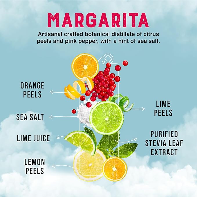 CLEVER - Margarita Mix Sugar-Free Nonalcoholic Mocktails Zero Calorie Drinks Mocktails Non-alcoholic Drinks for Any Occasion Pack of 12 Margarita Mixer (12 oz Ea)