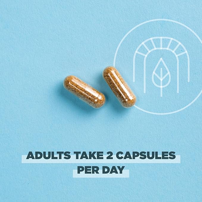 Ancient Nutrition Regenerative Organic Certified SuperVeggies Capsules Supports Gut and Immune System Health Made with Probiotics Kale Broccoli and Spinach 60 Count