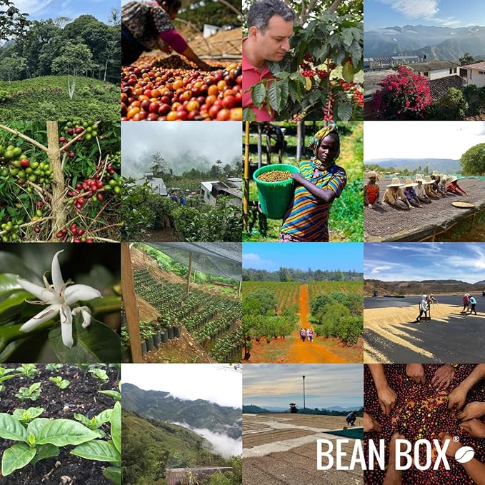 Peru Mendosayoc Ermitaño Huillca - Roasted by Dapper &amp Wise - Whole Bean Coffee - 2 Pound Bag