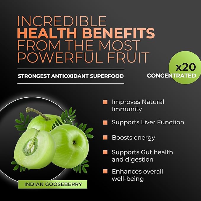 Amla Powder Superfood Supplement with Pumpkin Spice 20x Ultra Concentrated Amla Made with Cinnamon Ginger Nutmeg Cloves Allspice Cardamom Indian Gooseberries Pumpkin Spice 90 Servings