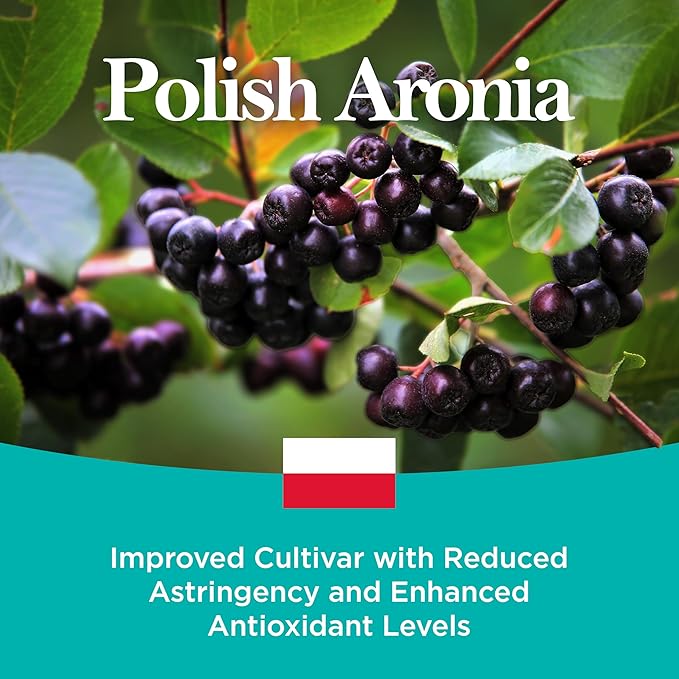 JustNature Polish Aronia Berry(Chokeberry) Juice Concentrate 19.61 Fl Oz (2PK) - Made with 100% Natural Aroniaberries from Poland Mega Antioxidant &amp Immune System Booster