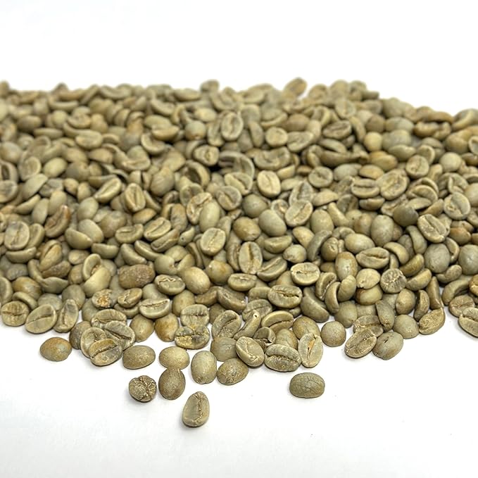 Current Crop Roasting Shop India Mysore Nuggets Green Coffee Beans – Unroasted Arabica for Home Roasting – Chikmagalur Single Origin Washed Process 10-Pound Bag