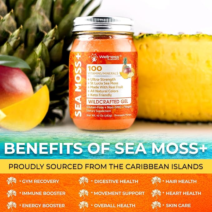 WELLNESS LABSRX Irish Sea Moss Gel Raw - Wildcrafted Superfood Seamoss Gel - Pineapple Mango Flavor Vitamin and Mineral-Rich from Pristine Caribbean Waters - 10 oz.
