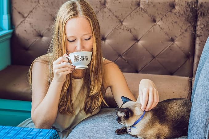 Kitty Town Coffee: Fezzik Medium Roast Coffee From Brazil 2lb (32oz) Whole Bean