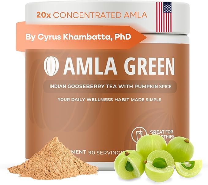Amla Powder Superfood Supplement with Pumpkin Spice 20x Ultra Concentrated Amla Made with Cinnamon Ginger Nutmeg Cloves Allspice Cardamom Indian Gooseberries Pumpkin Spice 90 Servings