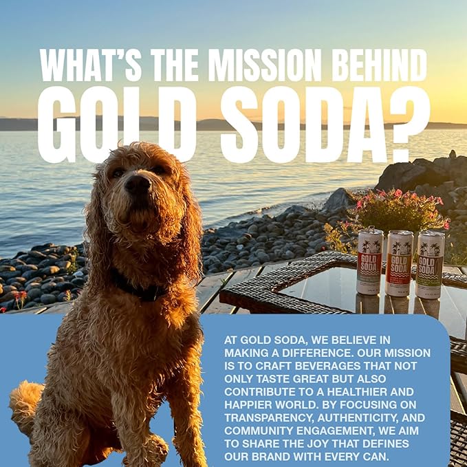Gold Soda - Natural Ingredients - Organic Cane Sugar - Non-GMO - No Preservatives - Monk Fruit - Sparkling Water - Made with Natural and Organic Flavors 12 Fl Oz (24 Pack) (24 Pack Pineapple Mango)