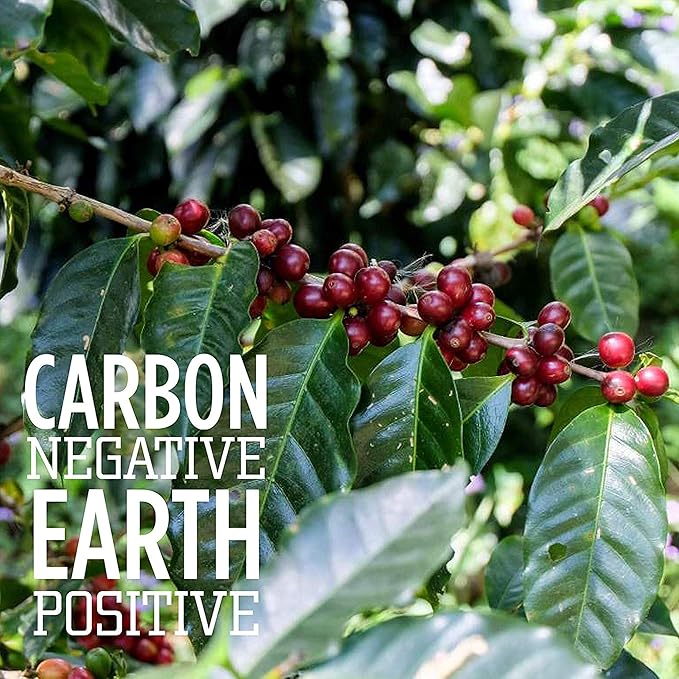 Tiny Footprint Coffee - Light Roast Signature Blend | Carbon Negative | USDA Organic | 16 oz. Whole Bean Coffee (Pack of 2)