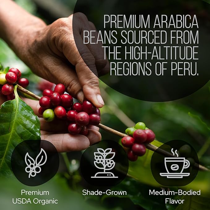 La Republica Espresso De Nicaragua Reserve Ground Coffee for Espresso Maker 60 Servings (Lion's Mane Reishi Chaga Dark Roast)