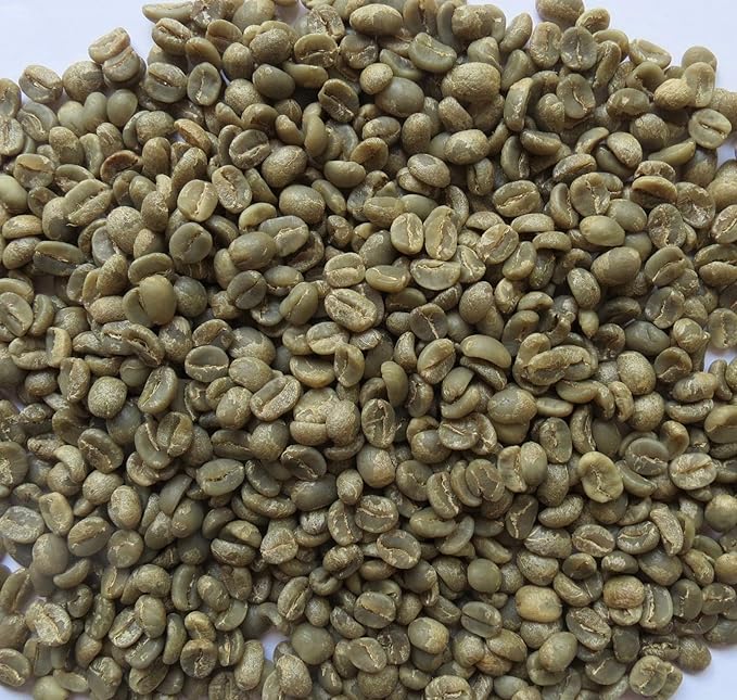 3 Lb Single Origin Unroasted Green Coffee Beans Specialty Grade From Single Nicaraguan Estate Direct Trade (Caturra Varietal)