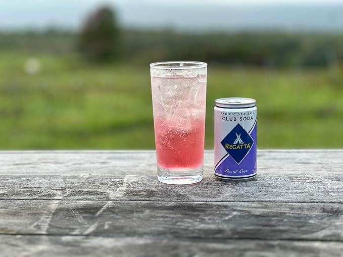 Award-Winning Soda Bundle Party Pack of 4 24 Can Cases By Regatta Craft Mixers