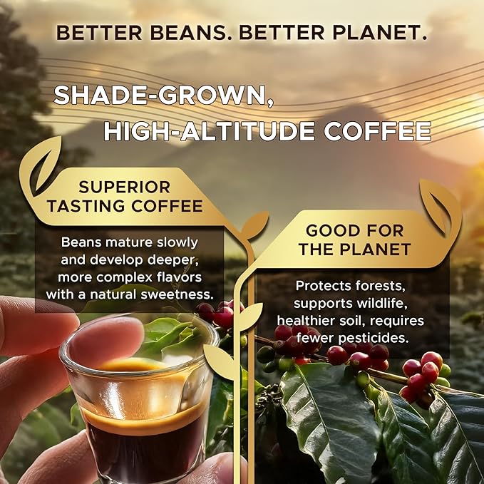 Coffeeza 100% Arabica Nespresso Flavored Coffee Pods Variety Pack Compatible with Nespresso Original Line Machines | 6 Pack 60 Single Serve Coffee Pods