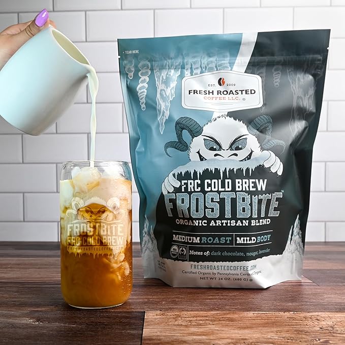 Fresh Roasted Coffee Organic Frostbite Cold Brew Coffee Filter Packs | Mold &amp Myco Tested USDA Organic Kosher | Medium Roast 12 Count 24 oz