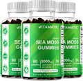Vitamatic 3 Pack Irish Sea Moss Gummies- 3000mg Equivalent Per Serving - 60 Ct - Made with Bladderwrack &amp Burdock Root - Seamoss Supplement for Thyroid Energy Immune Support