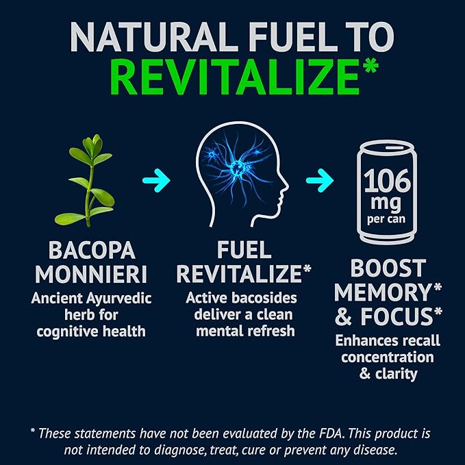 NEORON Focus + Calm | Sugar-Free Nootropic Drink for Mental Clarity - Stress &amp Burnout Support (12-Pack Blueberry &amp Mint)